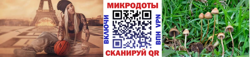 Псилоцибиновые грибы мицелий Талица